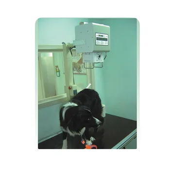 Рентгеновский аппарат горячей продажи SY-W005 50MA ветеринарный медицинский