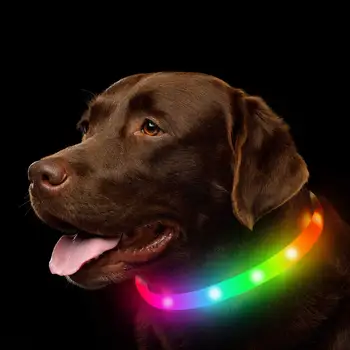 Силиконовый светодиодный ошейник для собак, перезаряжаемый через Usb, светящийся ошейник для собак, защита от потери / автокатастрофы, светящийся ошейник для домашних животных, аксессуары для собак